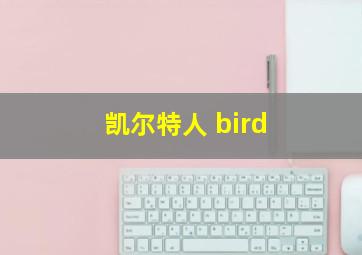 凯尔特人 bird